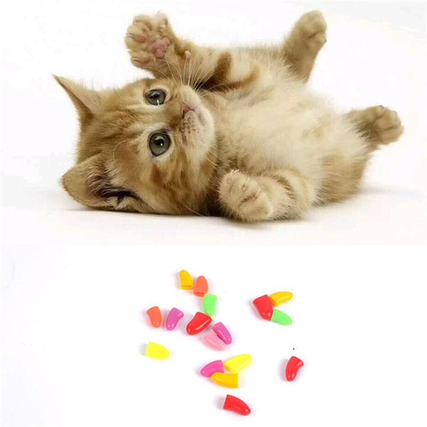 Colorful Soft Paw Nail Protector (100 Pcs)