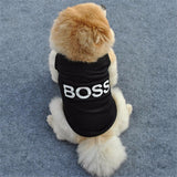 Puppy Boss Tee Shirts