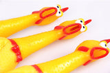 Yellow Chicken Chew Toy