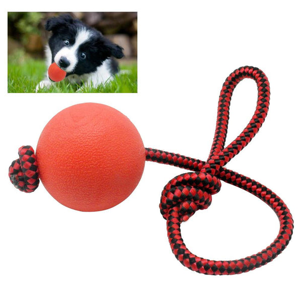 Dog Chew & Tooth Cleaning Training Ball