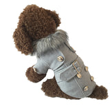 Dogs Light Gray Coat