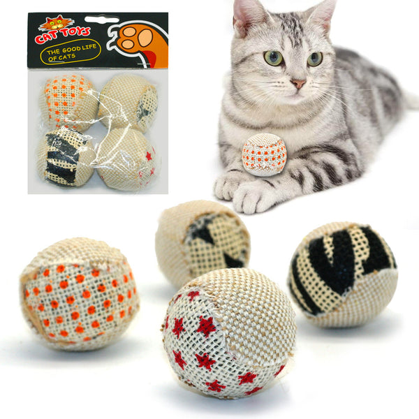 Scratch & Catch Exercise Balls (4 Pcs)