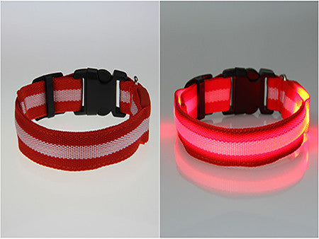 Cat/Dog Flashing Light Led Collar