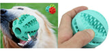 Chew & Tooth Cleaning Balls