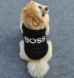 Puppy Boss Tee Shirts