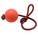 Dog Chew & Tooth Cleaning Training Ball