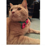 "It's Christmas" - Bow tie Collar