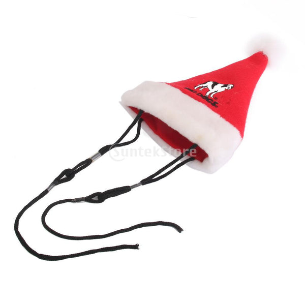 Christmas Pets Santa Hat - Sport Clearance